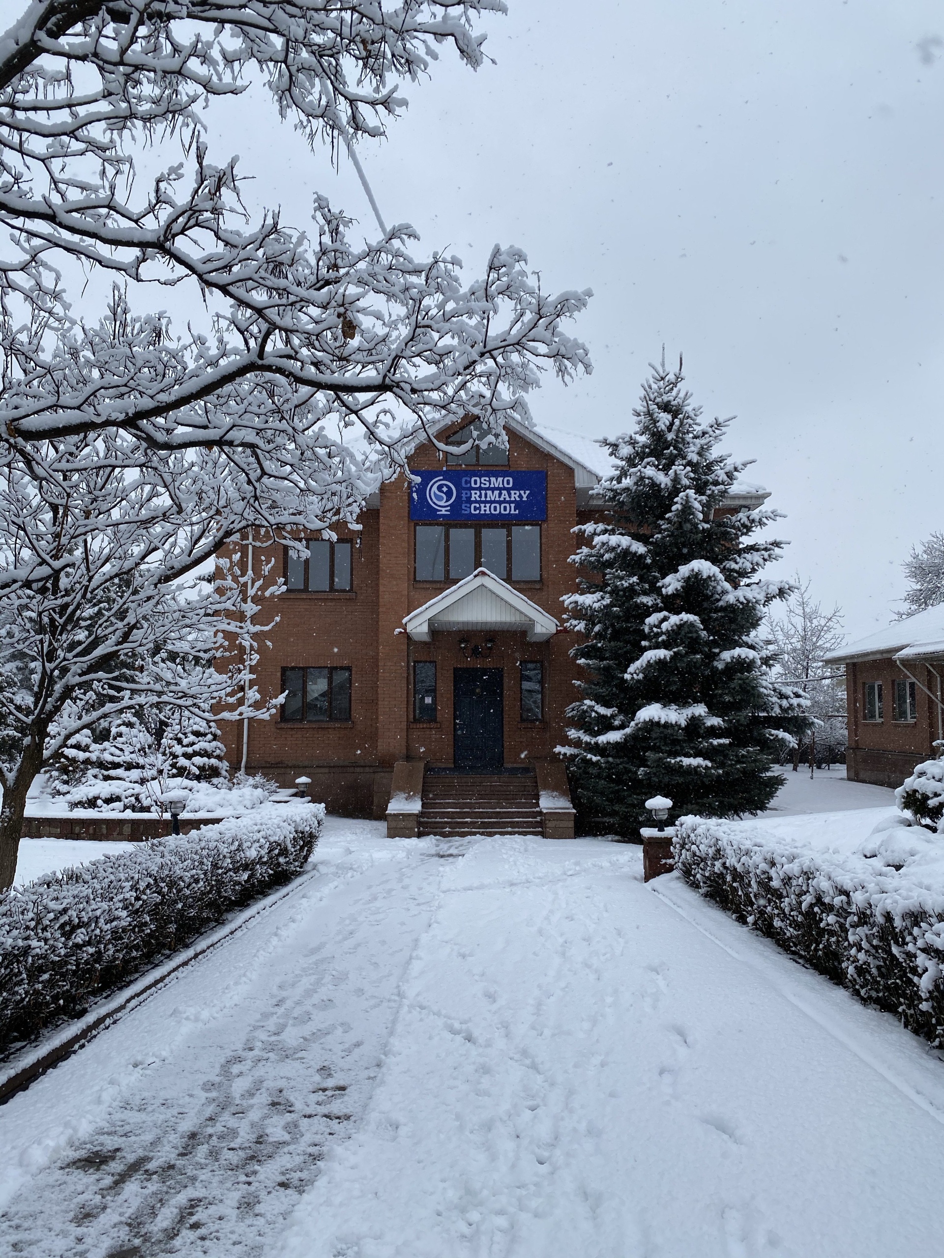 Cosmo Primary School, частная школа 1