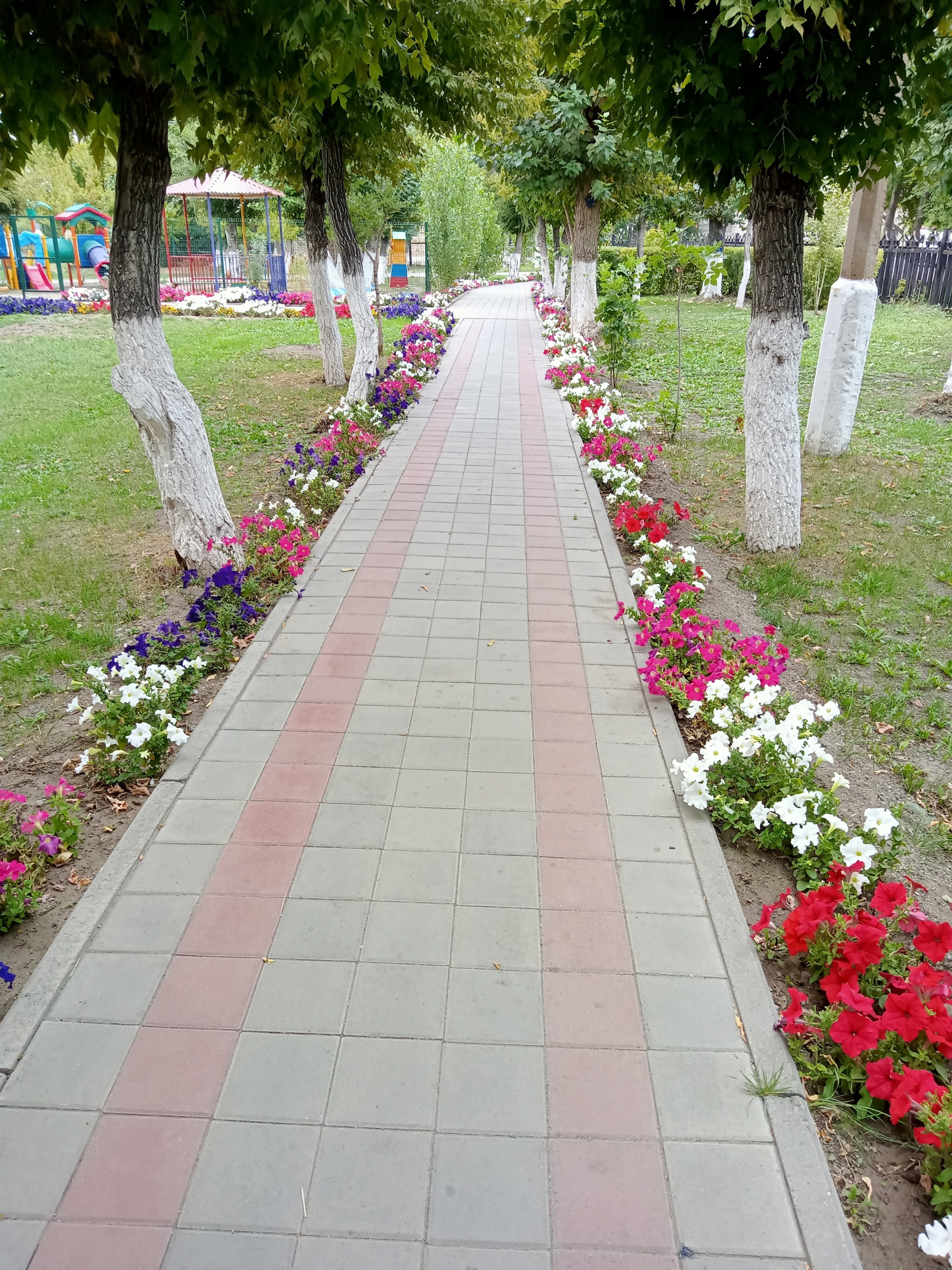 Гимназия им. Т. Аубакирова