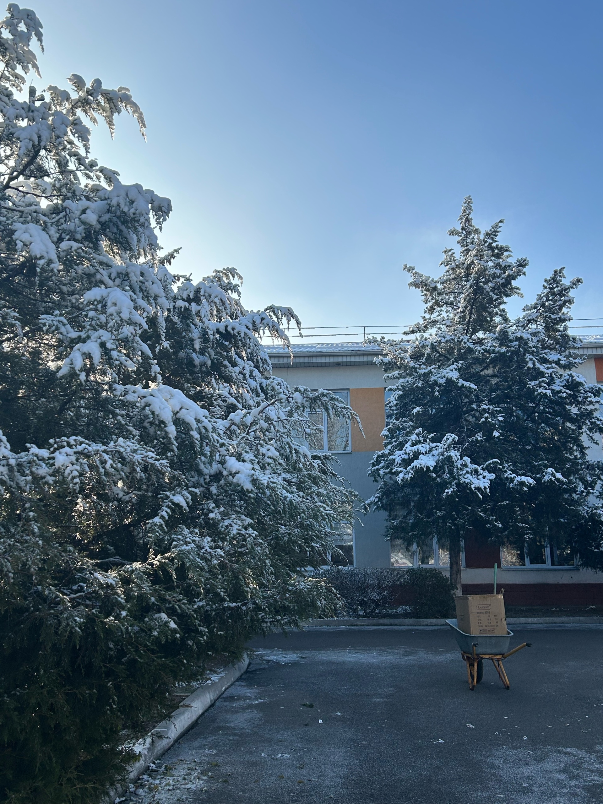 Гимназия №18 1