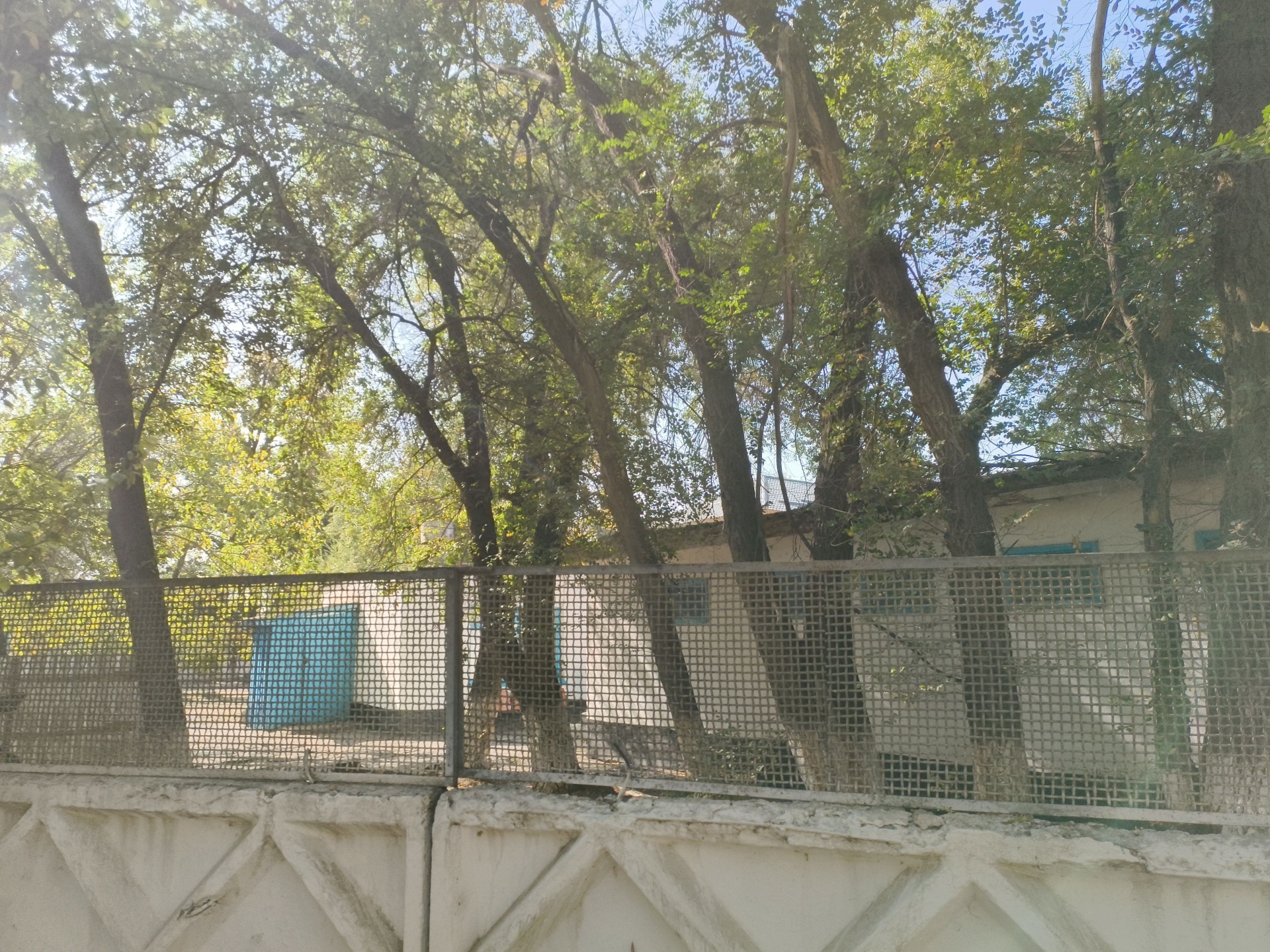 Гимназия №40 3