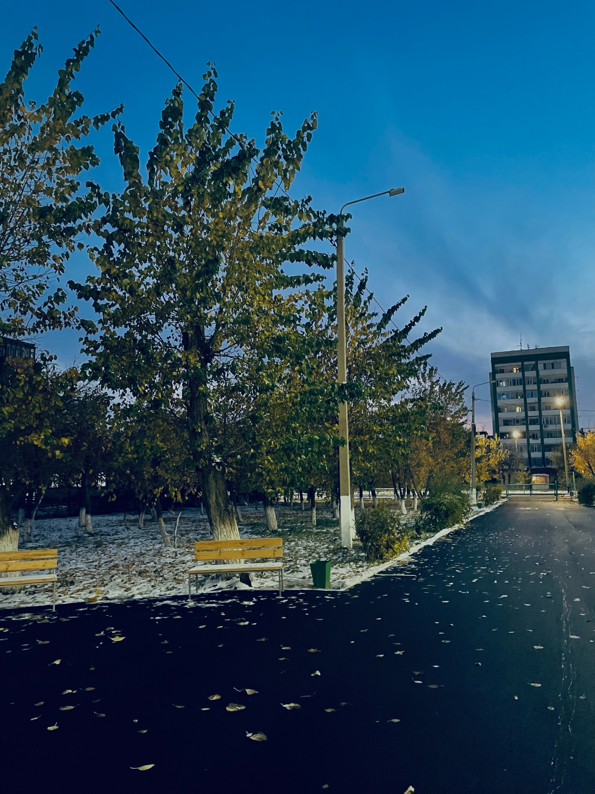 Лицей №6