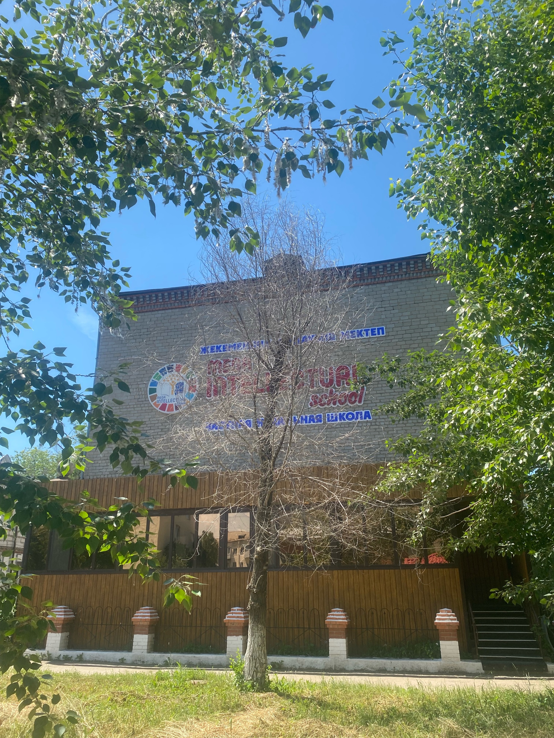 Mega intellectual school, частная начальная школа