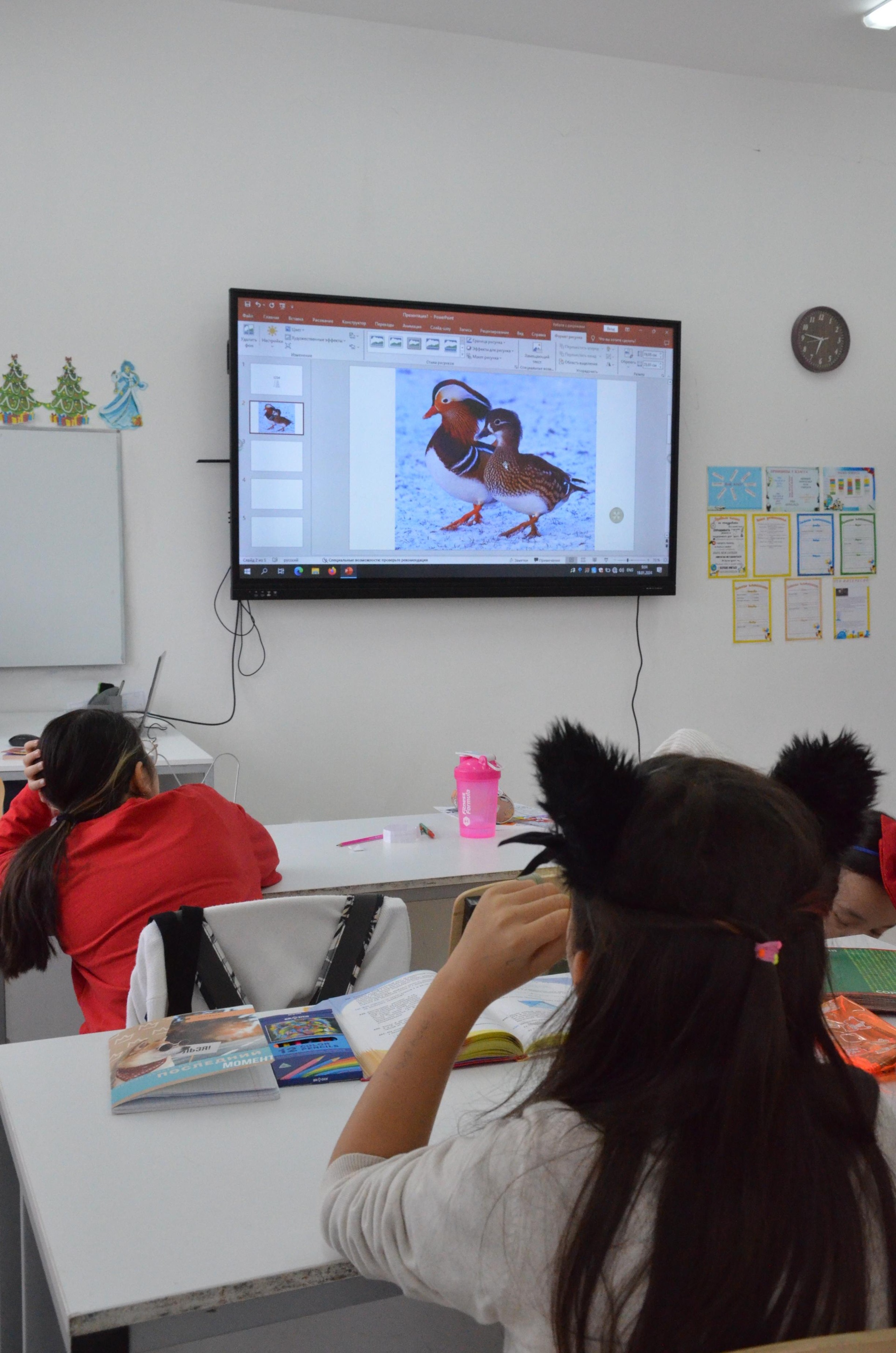 Scandic International School, частная школа 4