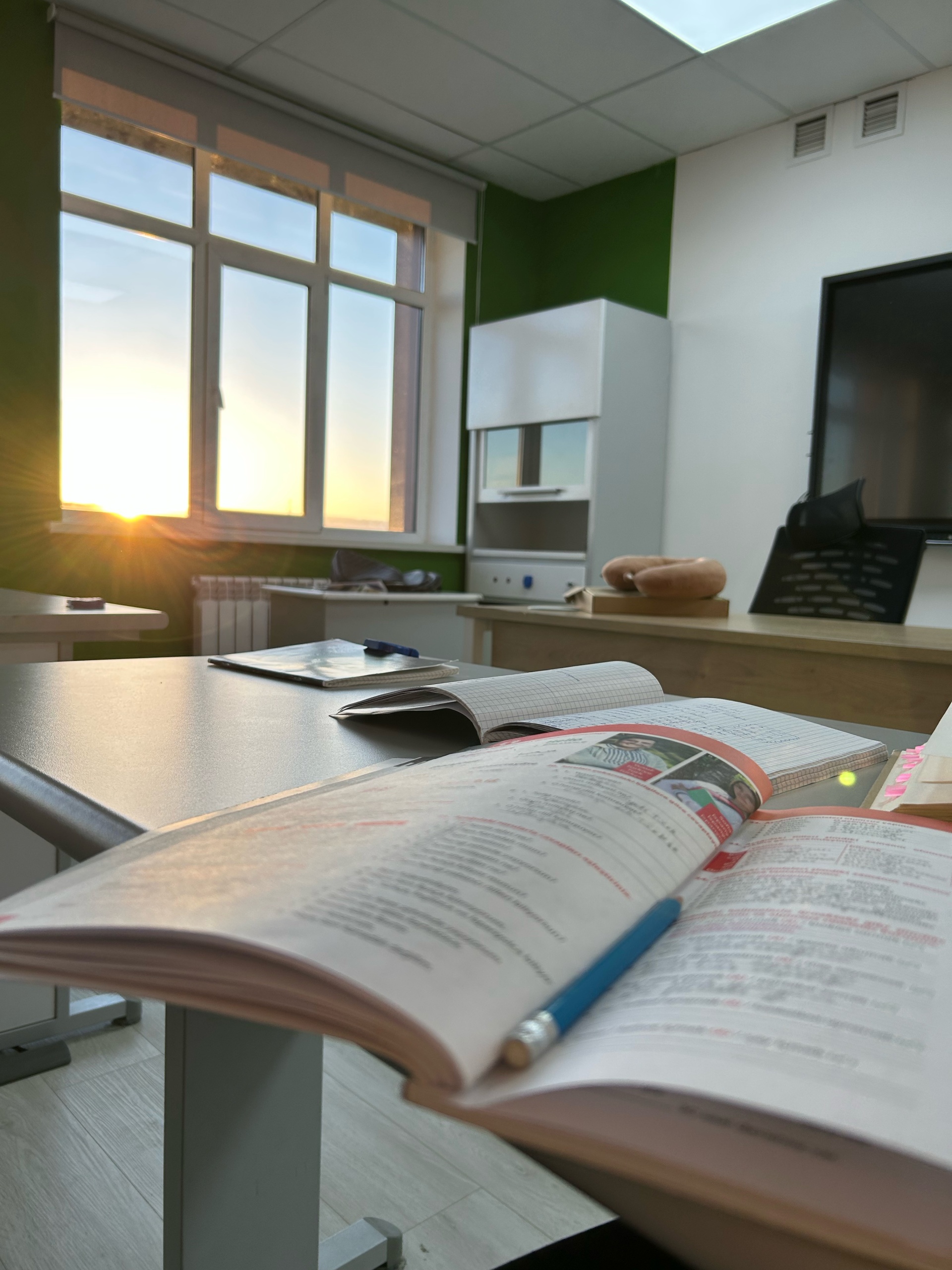 Seitzhan School, частная школа 4