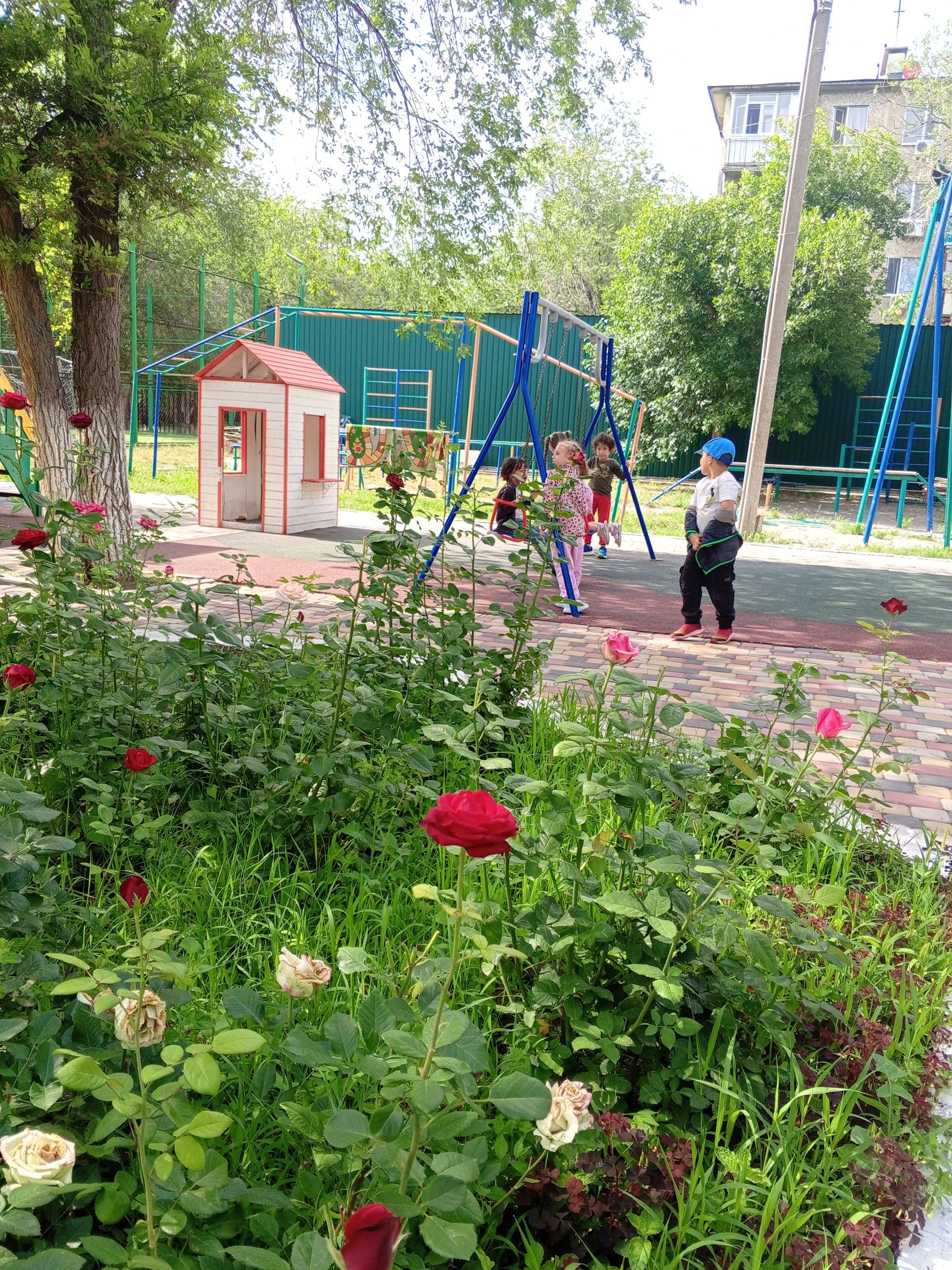 Shanyraq school, частная школа 3