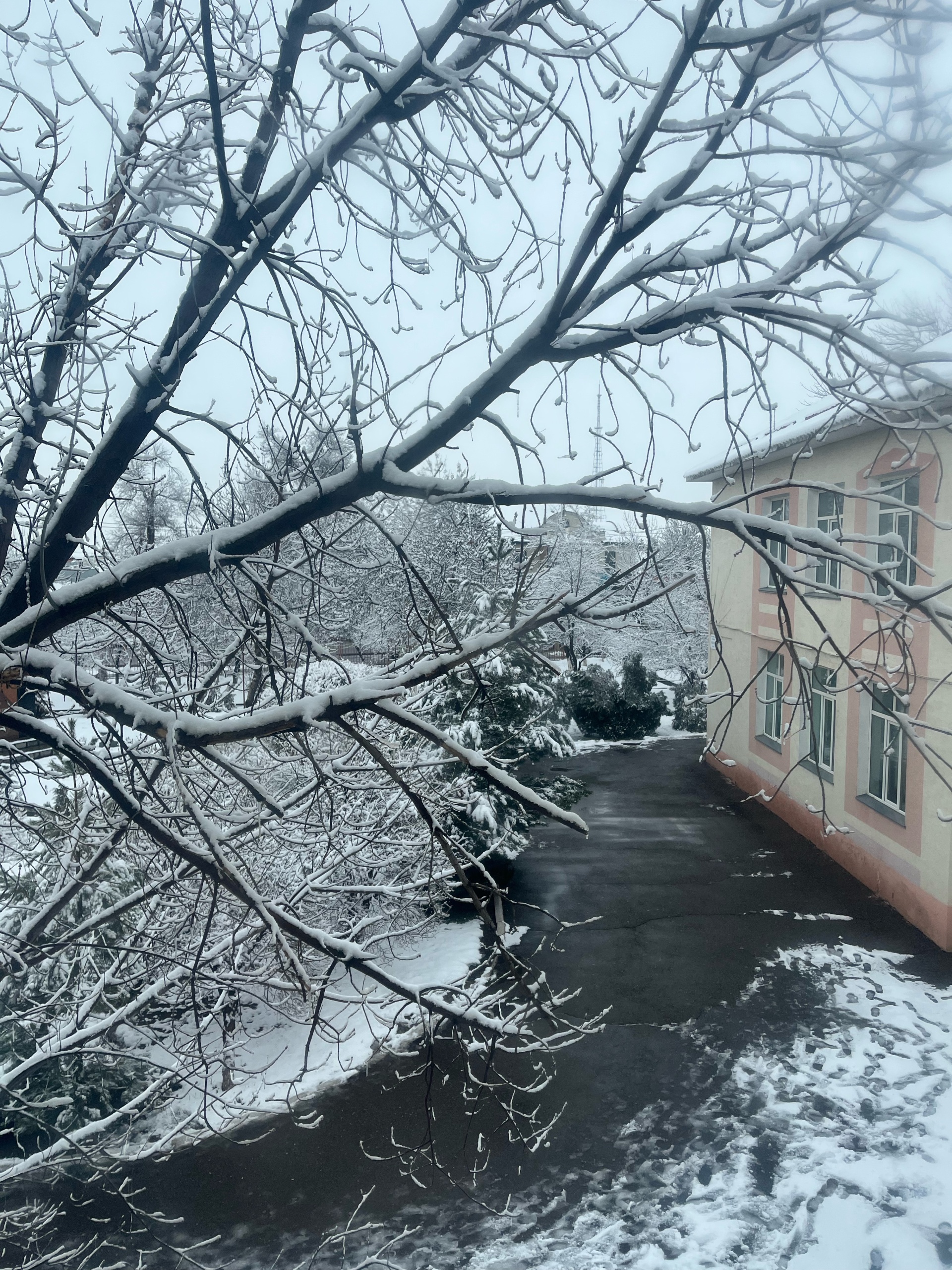 Школа-гимназия №5 им. Жамбыла, Управление образования акимата Жамбылской области 1