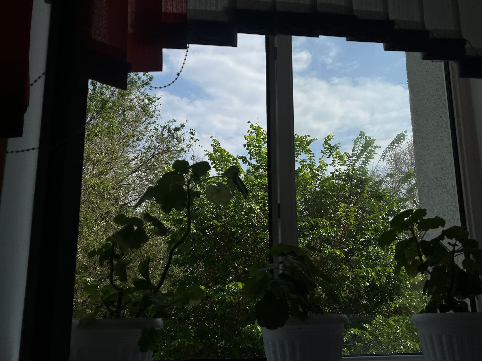 Школа №100 3