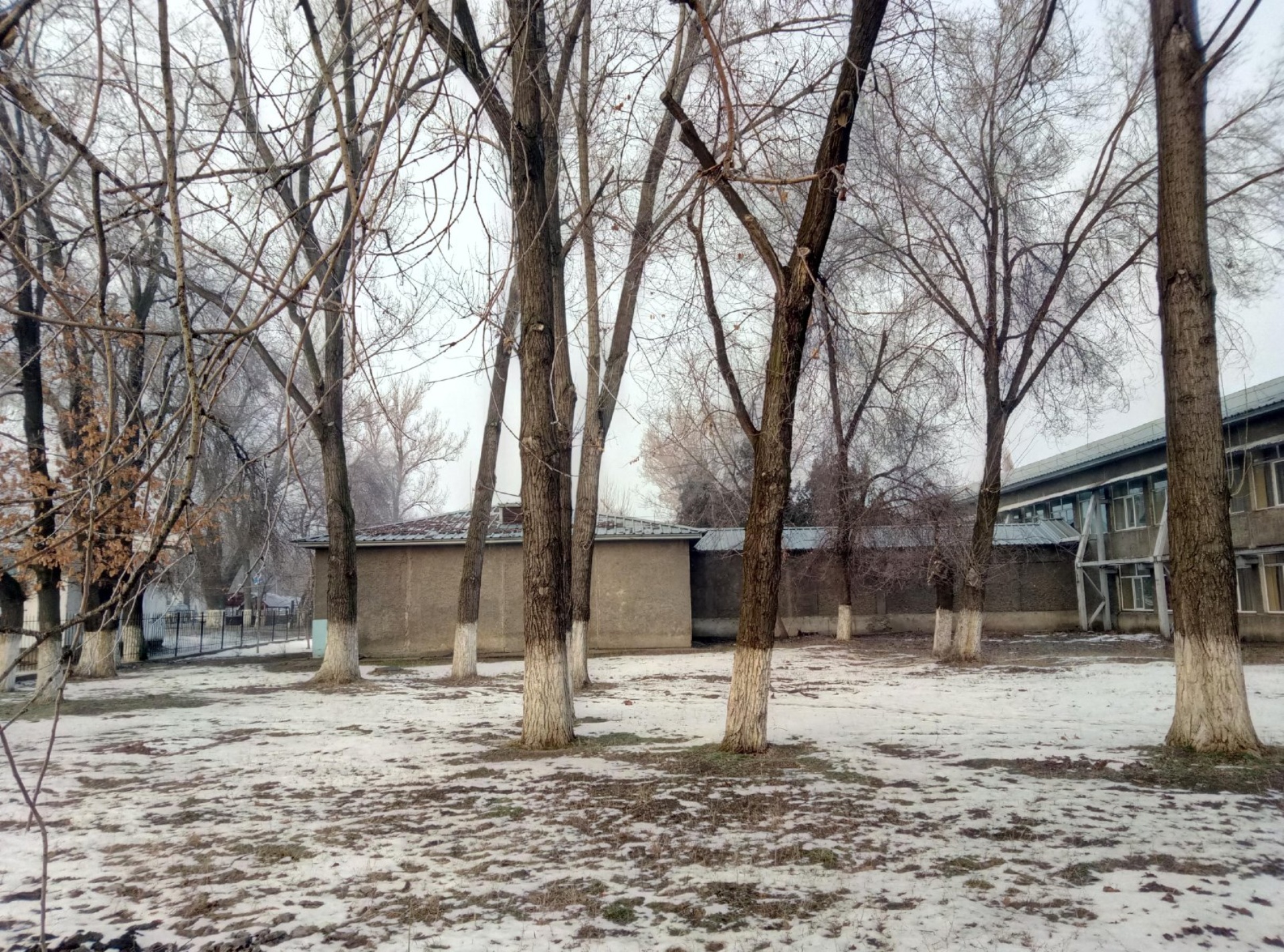 Школа №50 5
