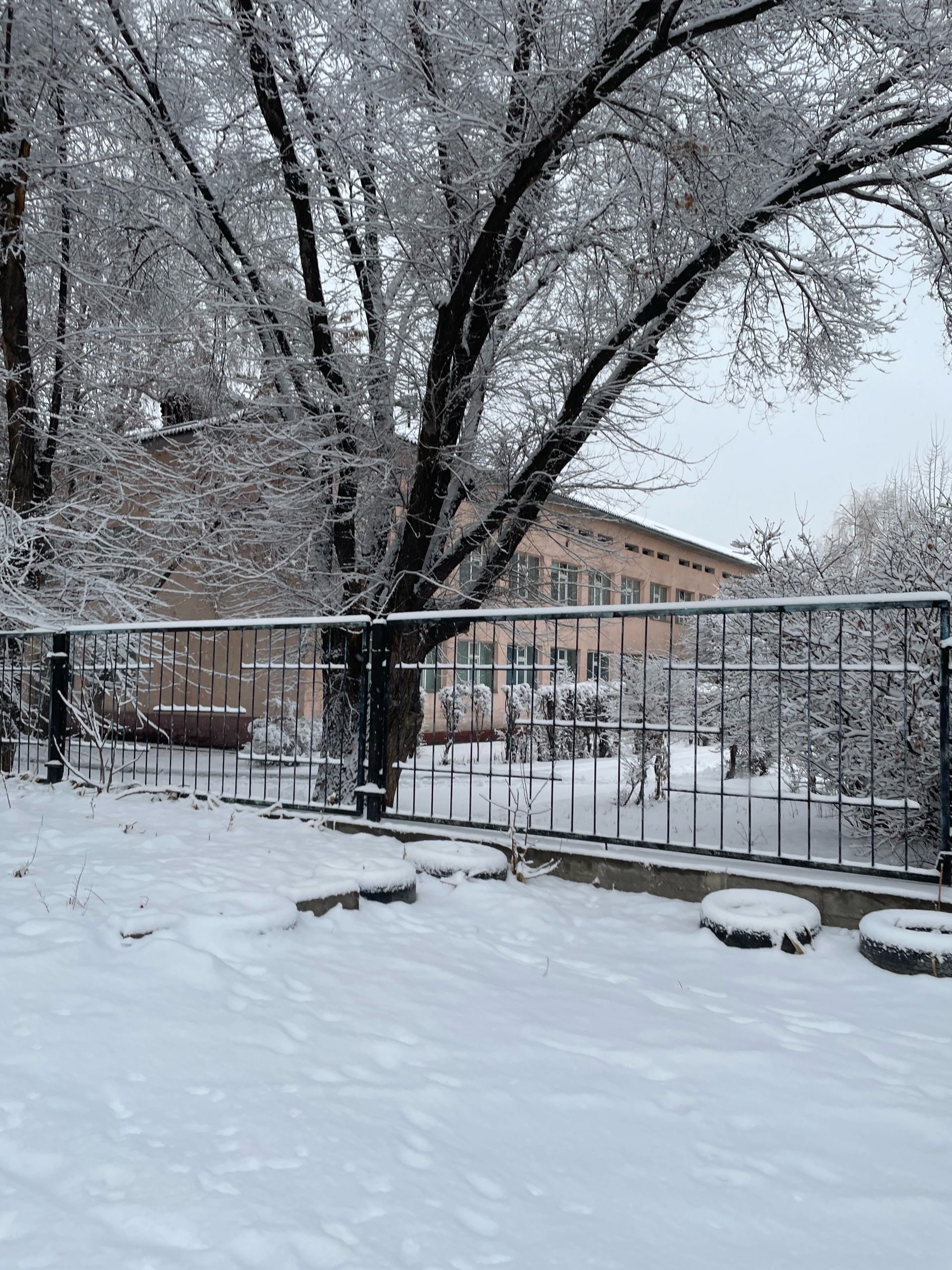 Школа №89 3