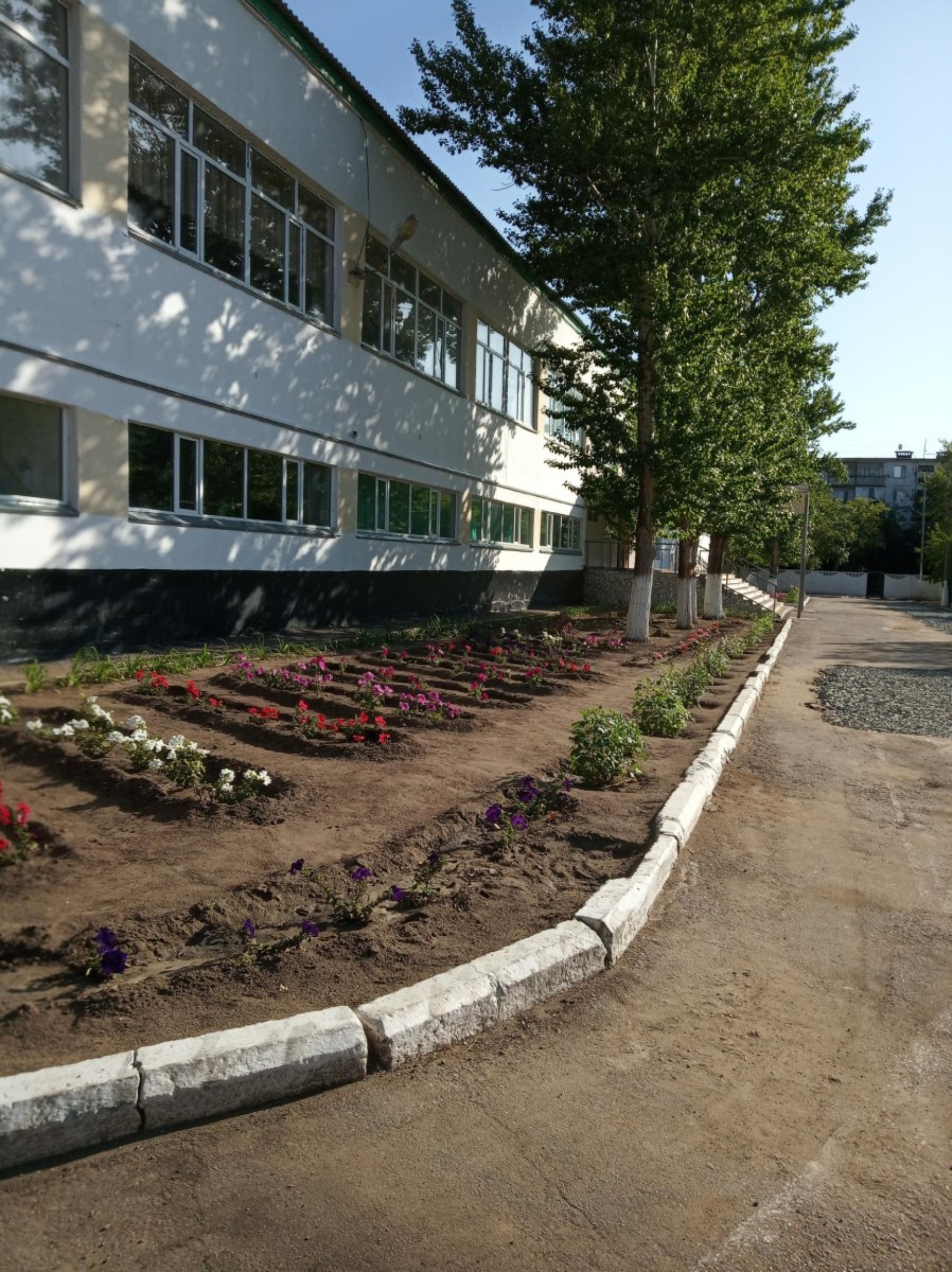 Средняя школа №35 1
