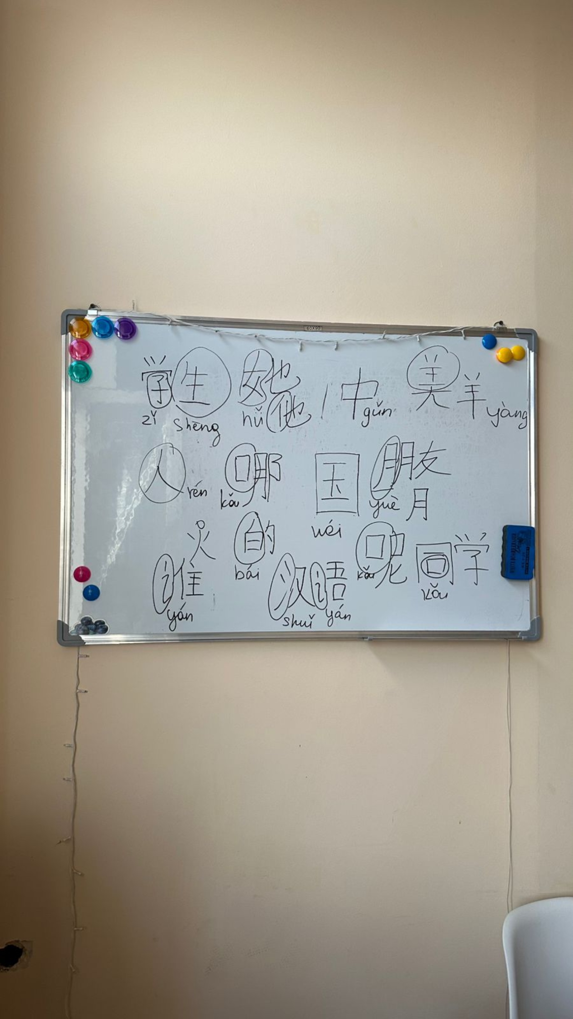 Together School 5